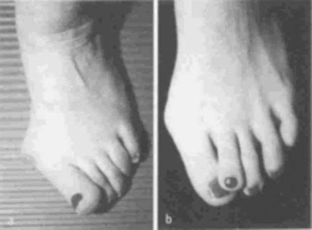 13548796833_88d1c67afd_o